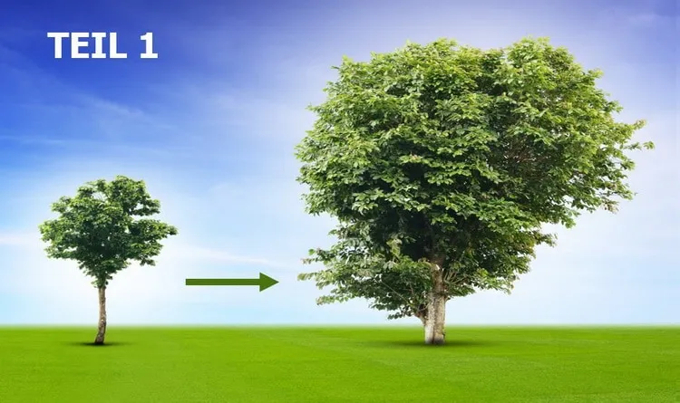 So machen Sie Ihre Mission und Vision zu Ihrer profitabelsten Investition!