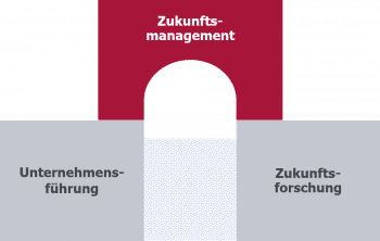 Ihr Zukunftsmanagement ist Ihre Brücke in die Zukunft - und zurück Zukunftsmanagement als Brücke